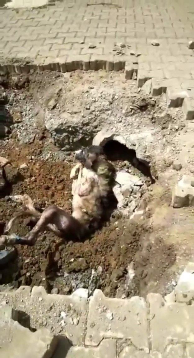 Denizli'de yerin altından garip sesler geliyordu! Çıkan şey herkesi şaşkına çevirdi 2