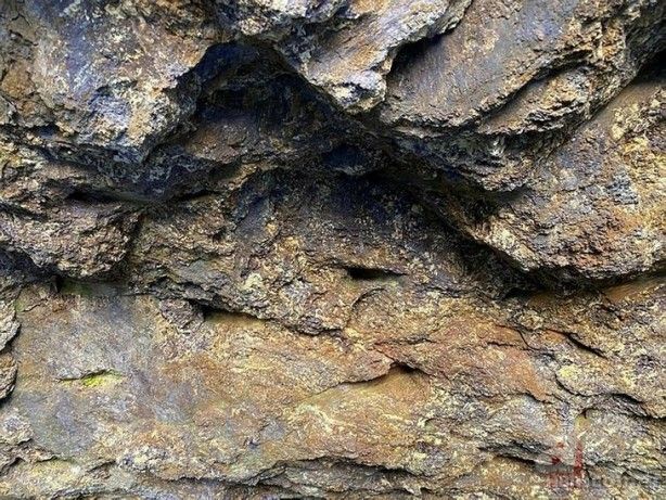 Görülmemiş rezerv! Onlarca ülke Ankara'nın kapısını çalacak 6