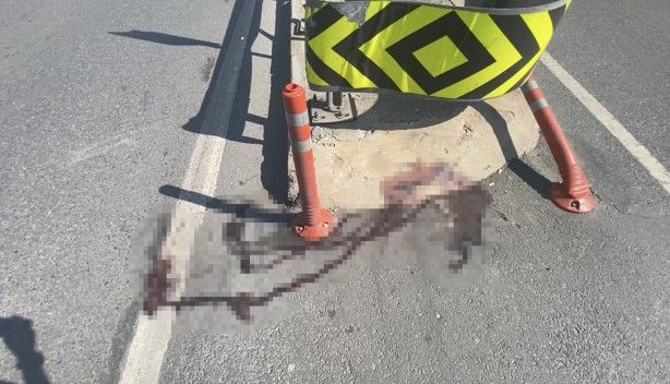 Muhammed’e arkadaşından şok haber 9