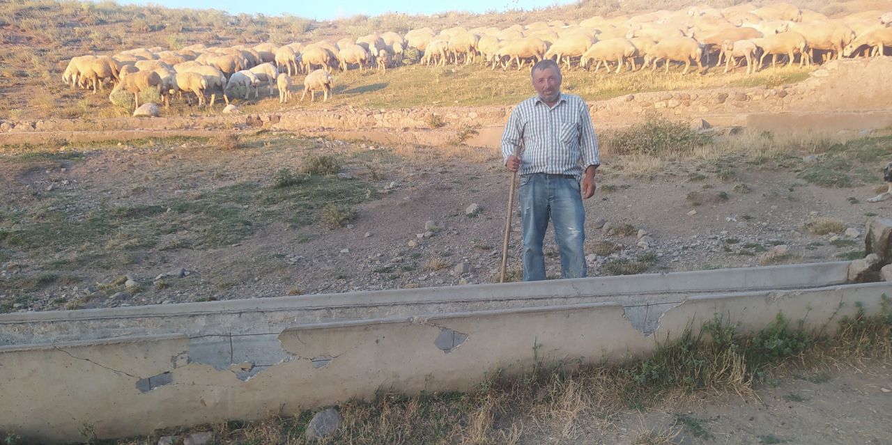 Vicdansızlığın böylesi! Hayvanlar su içmesin diye bakın ne yaptılar 2