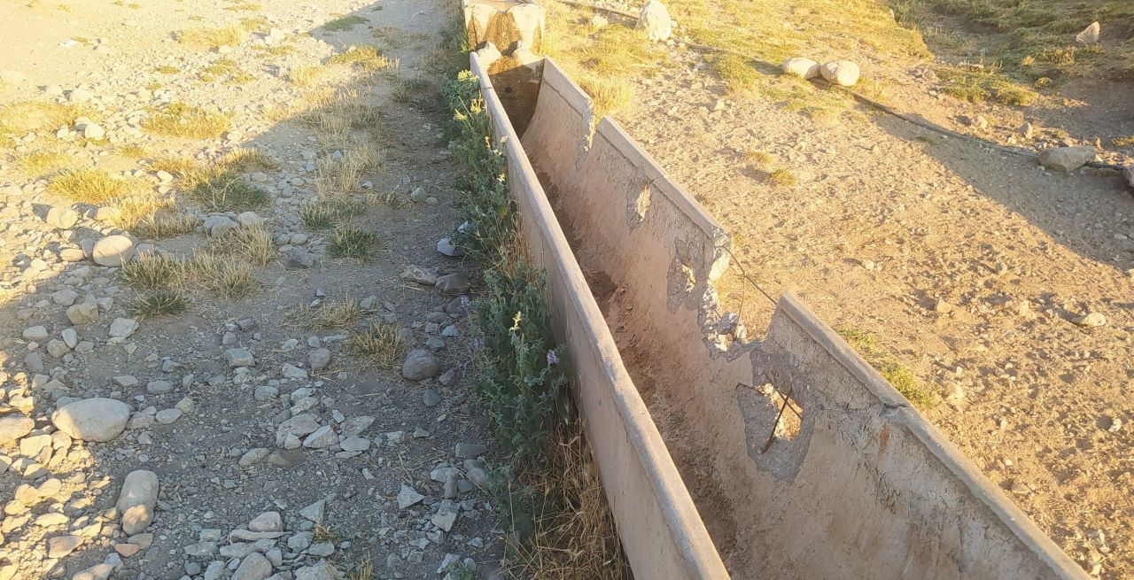 Vicdansızlığın böylesi! Hayvanlar su içmesin diye bakın ne yaptılar 3