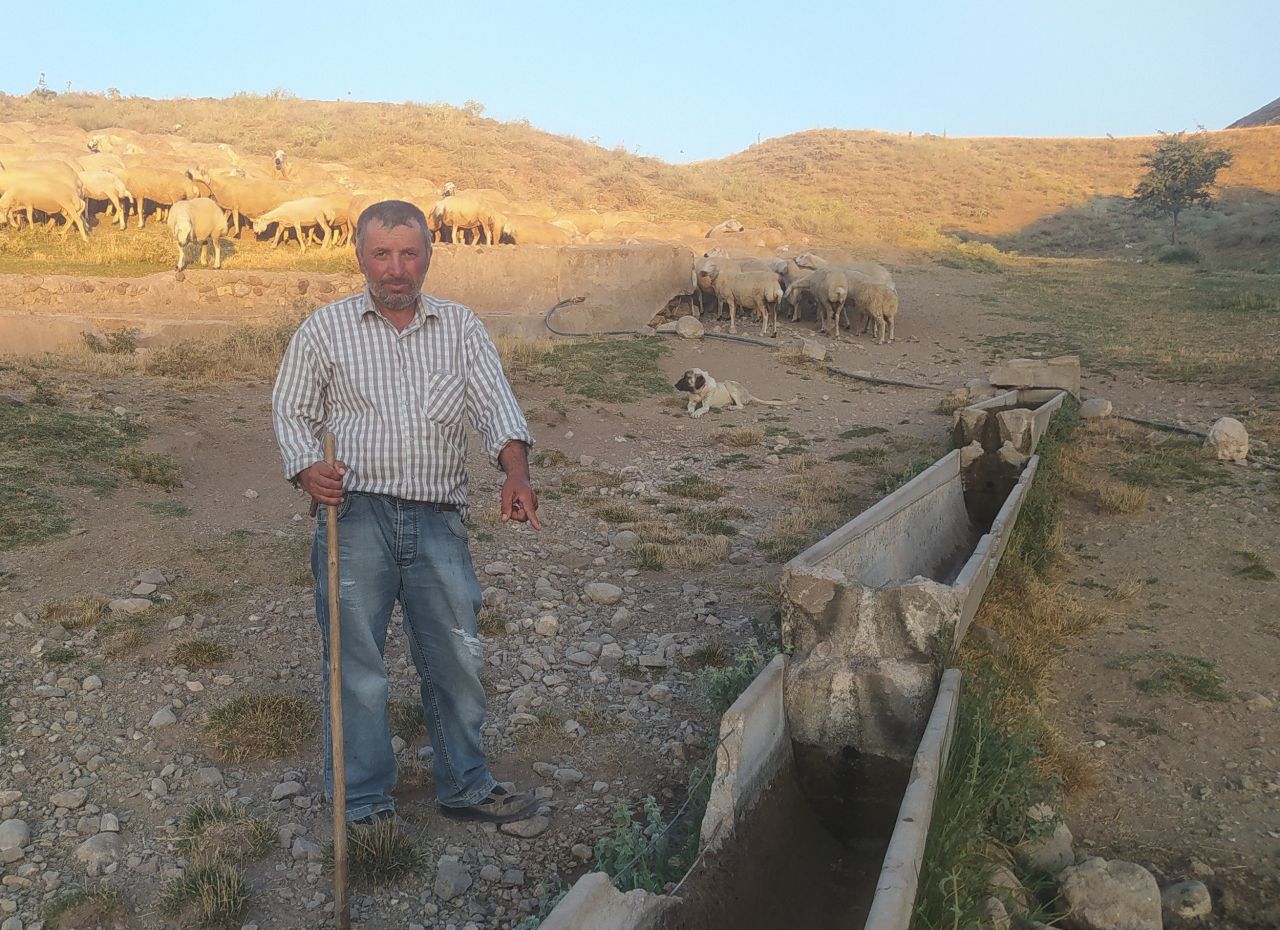 Vicdansızlığın böylesi! Hayvanlar su içmesin diye bakın ne yaptılar 4