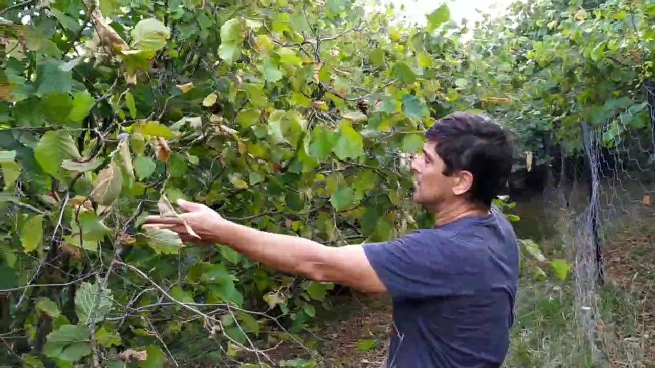 1,5 yıl önce tarım yapmak için aldı! Tarlaya geldiğinde gördüğü manzara sonrası şok oldu 4