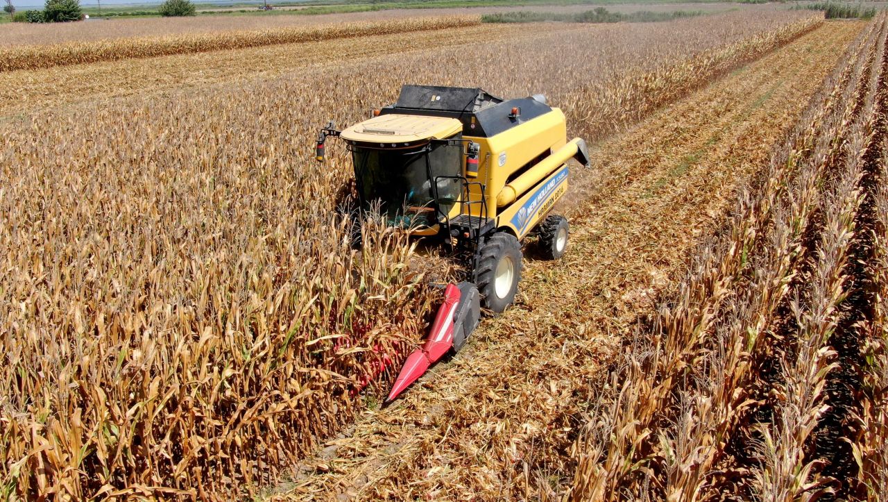 Maliyetler artınca kuma ekti! Aldığı sonuç karşısında gözlerine inanamadı 1