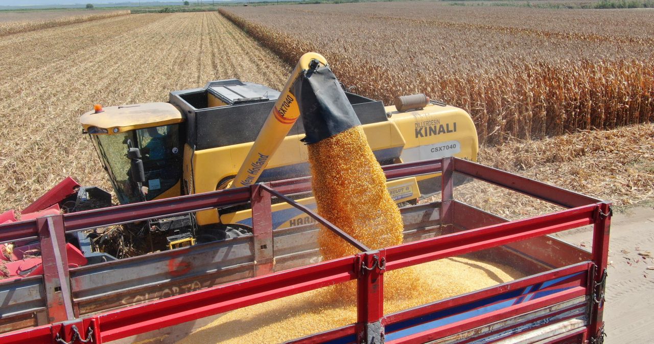 Maliyetler artınca kuma ekti! Aldığı sonuç karşısında gözlerine inanamadı 3