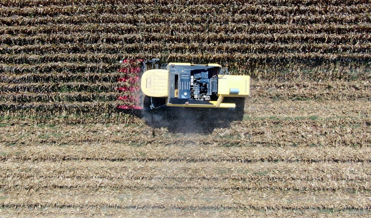 Maliyetler artınca kuma ekti! Aldığı sonuç karşısında gözlerine inanamadı 4