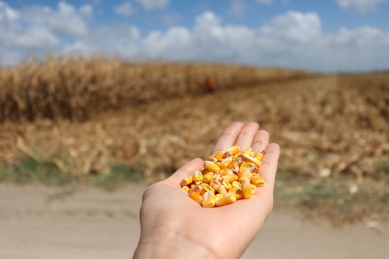 Maliyetler artınca kuma ekti! Aldığı sonuç karşısında gözlerine inanamadı 8