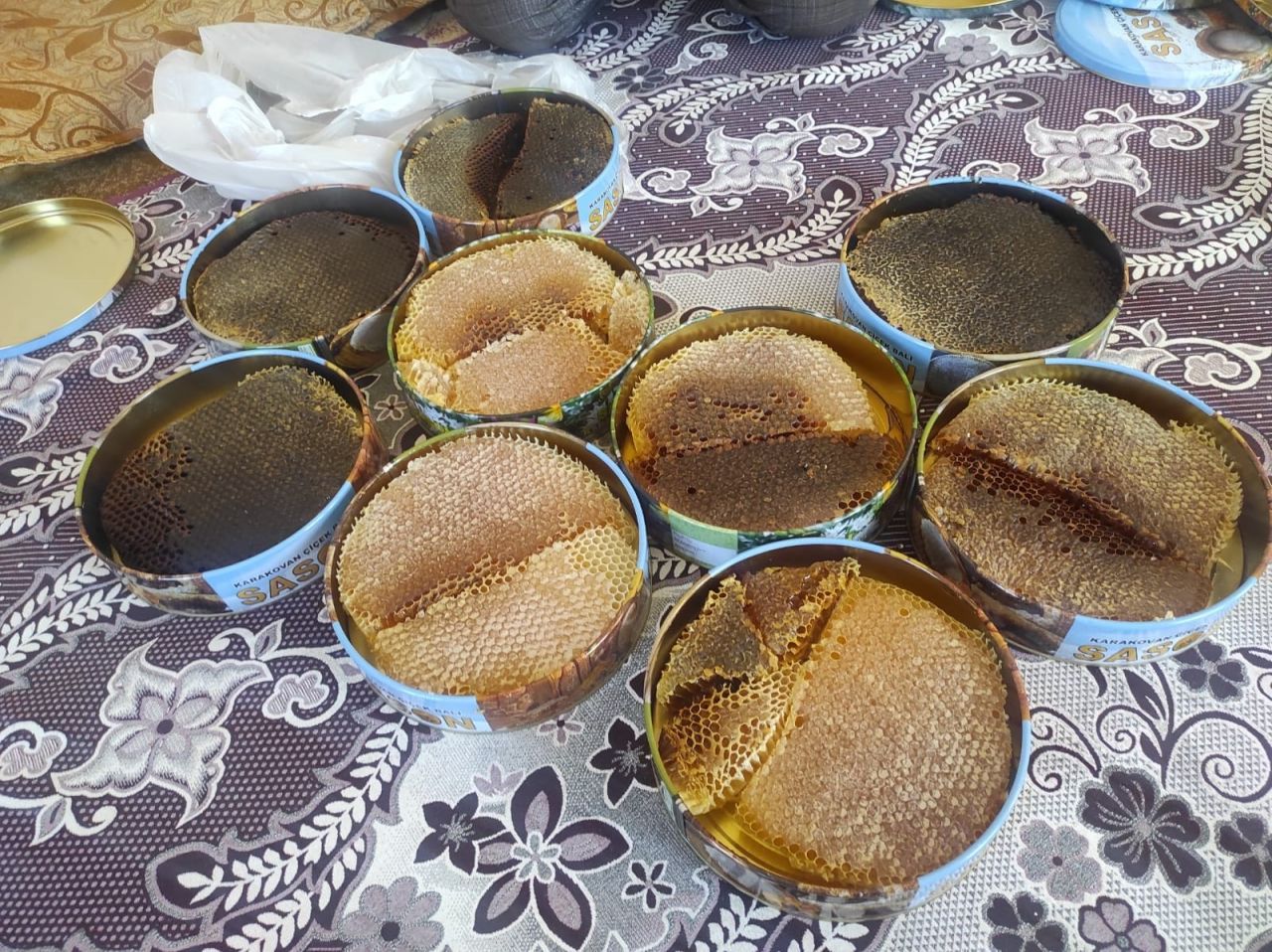 Her yerde bulamazsınız! Ağaç kovuğundan çıkıyor fiyatı cep yakıyor 6