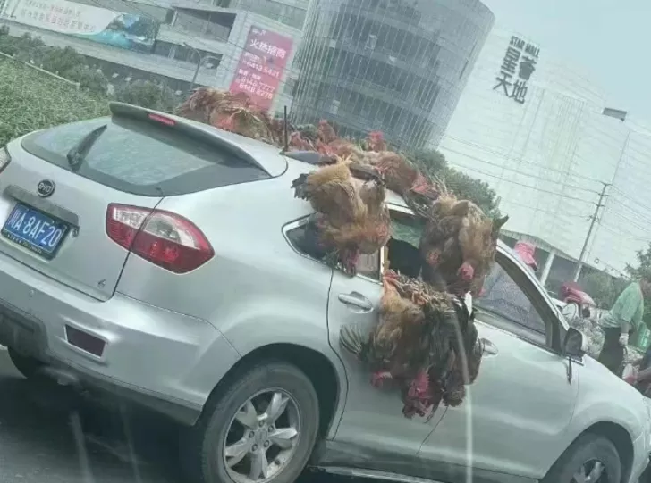 Karantina kararı büyük panik yarattı: İnsanlar birbirini ezdi! 1