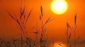 Çöl sıcakları geliyor! Meteoroloji uyardı: 41 dereceye kadar çıkacak: İl il hava durumu tahminleri 6