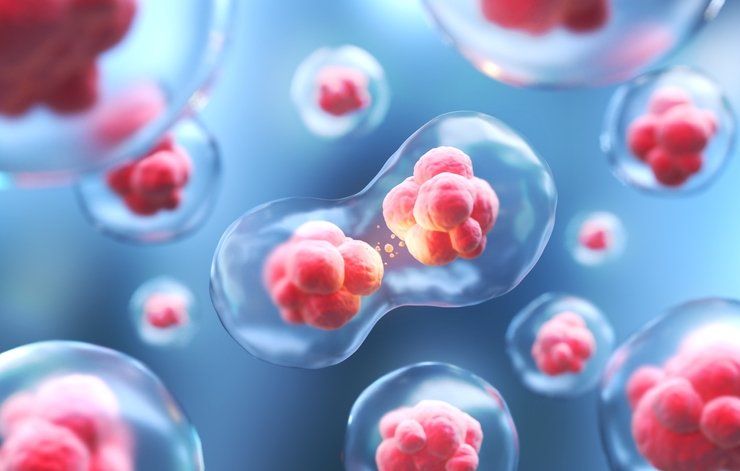 Bağışıklığın dopingi! Bu zamanlarda yerseniz kışın hasta olmazsınız! 8