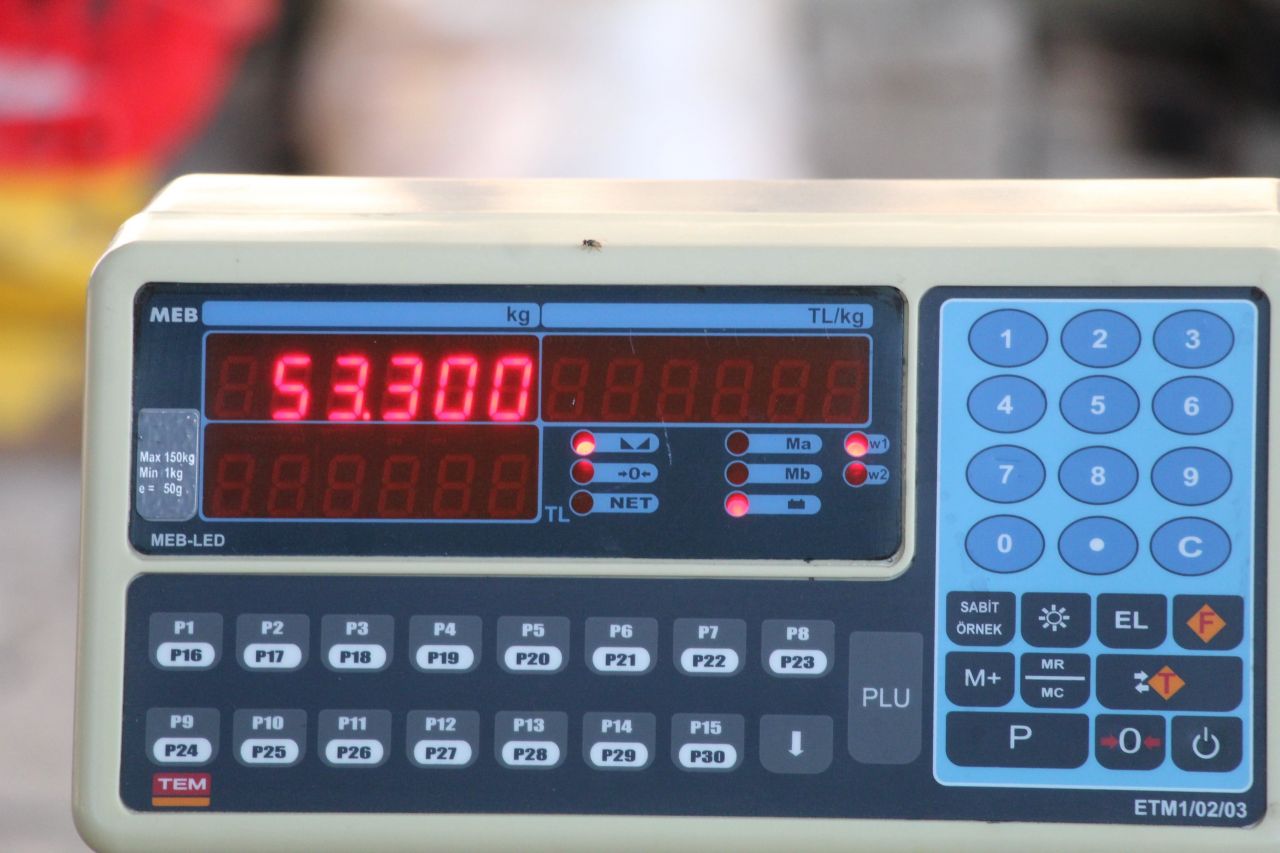 Dev karpuzun ağırlığı duyanları şoke ediyor 6