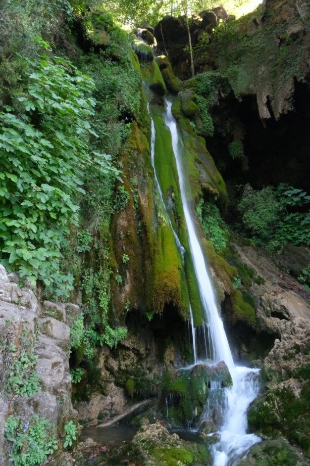 Müthiş haber! Hatay'da bulundu 1