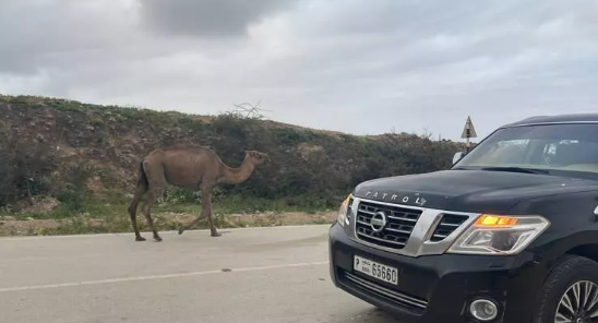 Bu yolda yer çekimi yok! Turistler akın ediyor... 10