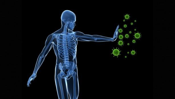 Faydalarını duyunca çok şaşıracaksınız! Günde 1 şeftali yerseniz... 11
