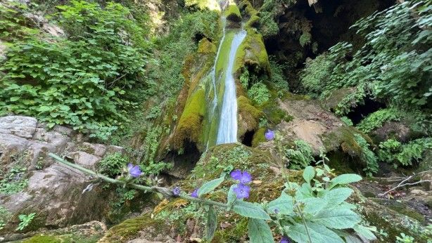 Müthiş haber! Hatay'da bulundu 3