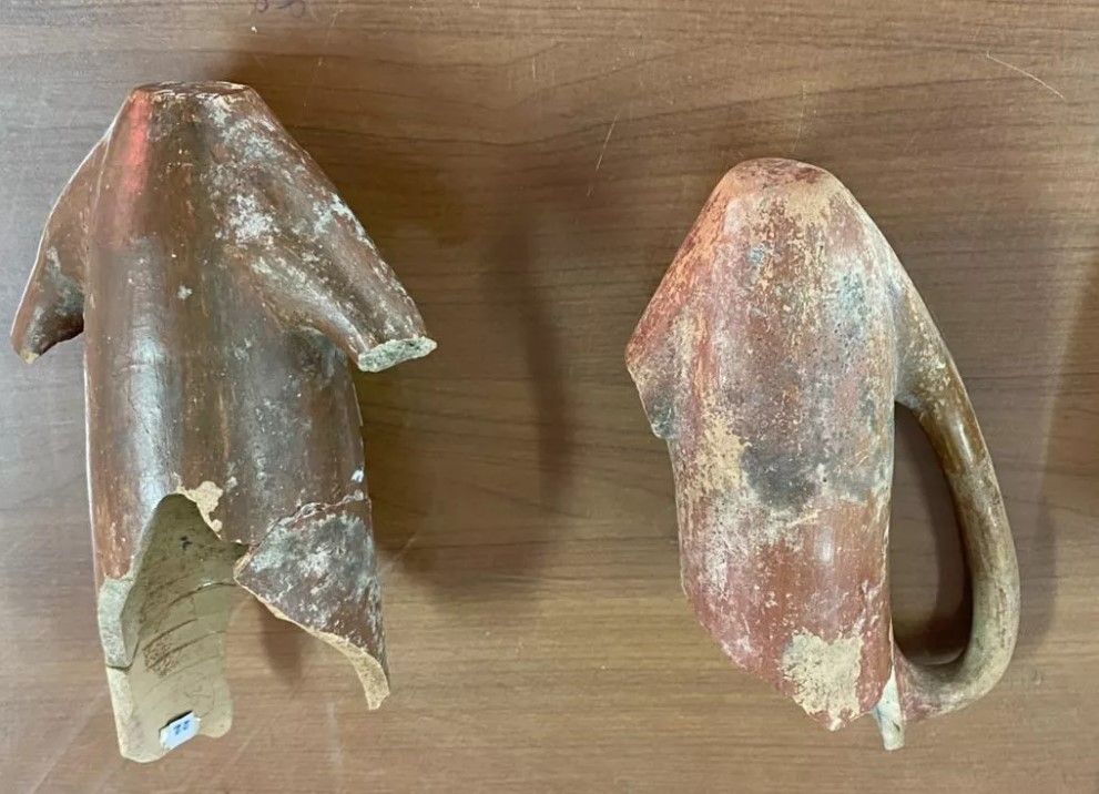 Eskişehir'de 4500 yıllık ilaç kalıntıları bulundu... Hepsi toprak altından çıkarıldı 5