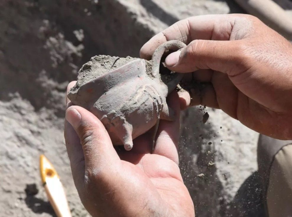 Eskişehir'de 4500 yıllık ilaç kalıntıları bulundu... Hepsi toprak altından çıkarıldı 6