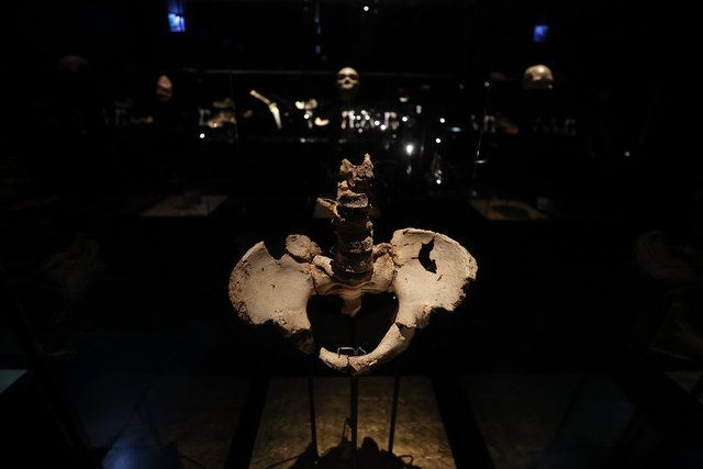 İspanya'da 1,4 milyon yıllık insan fosili bulundu! Bilim insanları bile şaşırdı 11