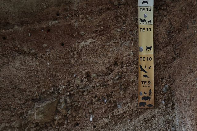 İspanya'da 1,4 milyon yıllık insan fosili bulundu! Bilim insanları bile şaşırdı 12