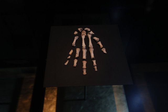 İspanya'da 1,4 milyon yıllık insan fosili bulundu! Bilim insanları bile şaşırdı 15