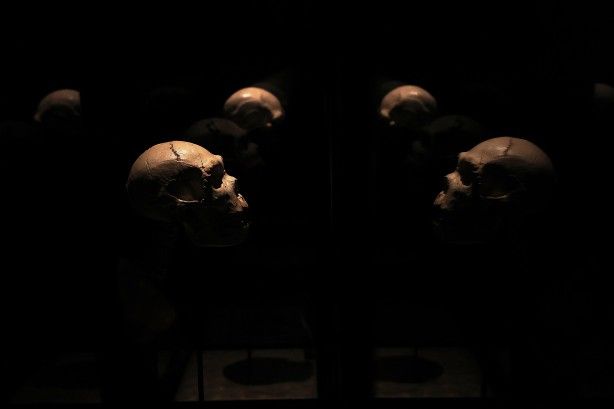 Şimdiye kadar bulunanların en eskisi! Bilim insanlarını şaşkına çeviren buluş 10