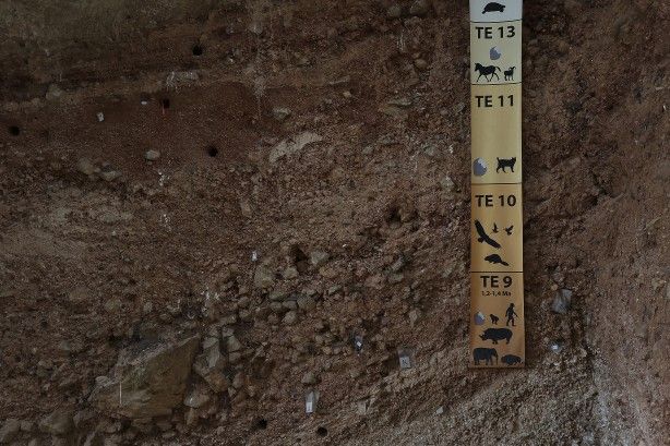 Şimdiye kadar bulunanların en eskisi! Bilim insanlarını şaşkına çeviren buluş 6