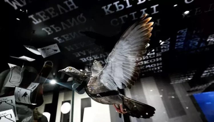 Dünyanın en gizli müzesi: Saddam Hüseyin'in ceketi, Bin Ladin'in silahı ve çok daha fazlası... 13