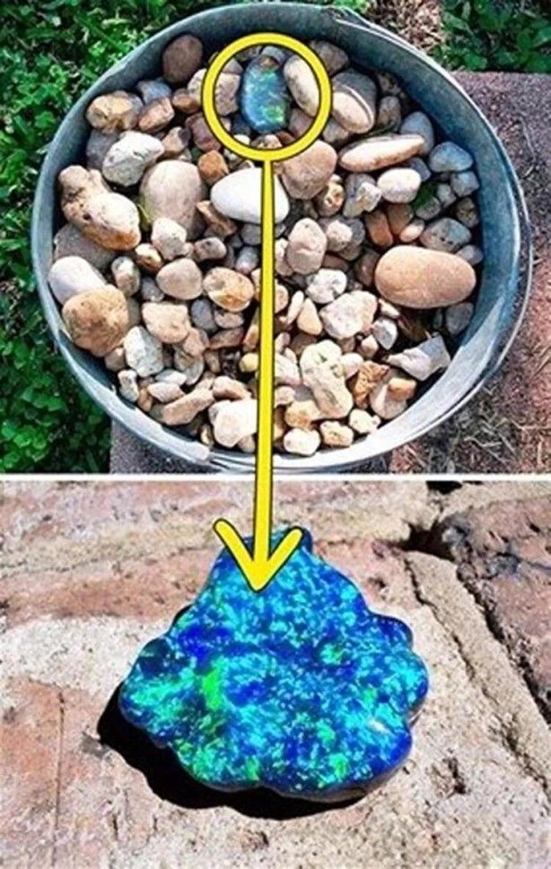 Bahçesinde kazı yaparken dev hazine buldu! Paha biçilemiyor 7