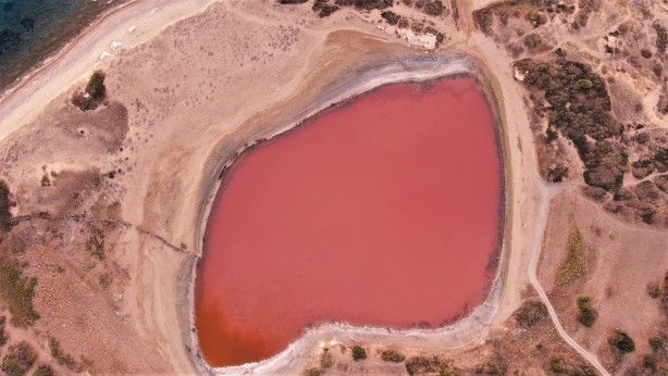 Dünyada sadece 8 tane var biri Türkiye’de! 4