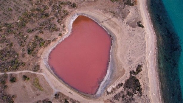 Dünyada sadece 8 tane var biri Türkiye’de! 1