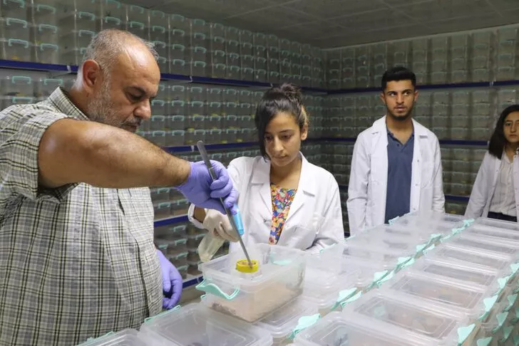 Akrep çiftliği kurdu: Zehir sağıp satıyor! Litresi 10 milyon dolar... 1