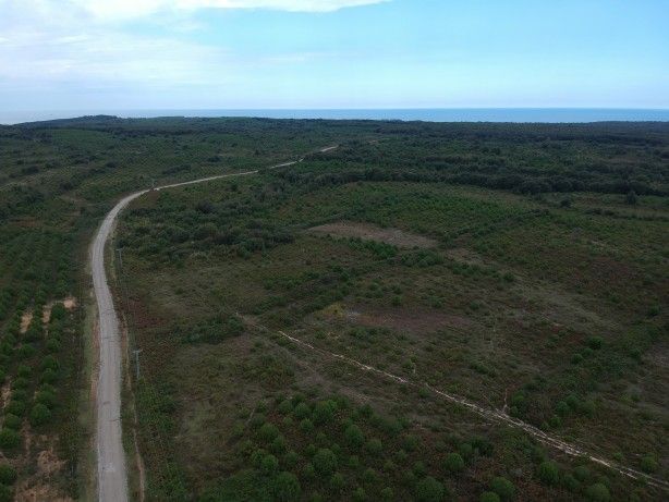 Petrol ve gazı tahtından edecek proje konusunda Türkiye adımı attı! Rusya ile... 1