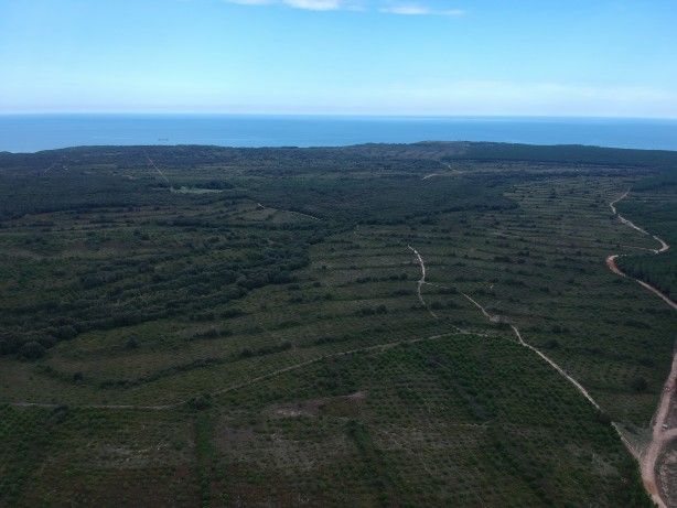 Petrol ve gazı tahtından edecek proje konusunda Türkiye adımı attı! Rusya ile... 3