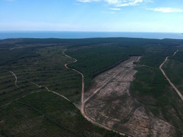 Petrol ve gazı tahtından edecek proje konusunda Türkiye adımı attı! Rusya ile... 4