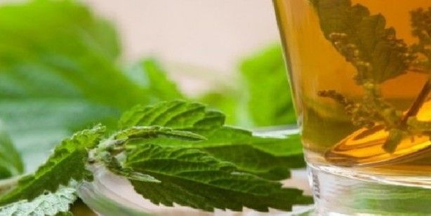 İbn-i Sina'nın reçeteleri: Kanseri yok eden bitkiler! Akciğeri temizliyor, nefesi açıyor 4