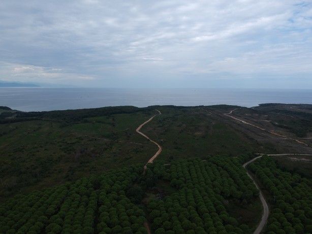 Petrol ve gazı tahtından edecek proje konusunda Türkiye adımı attı! Rusya ile... 5