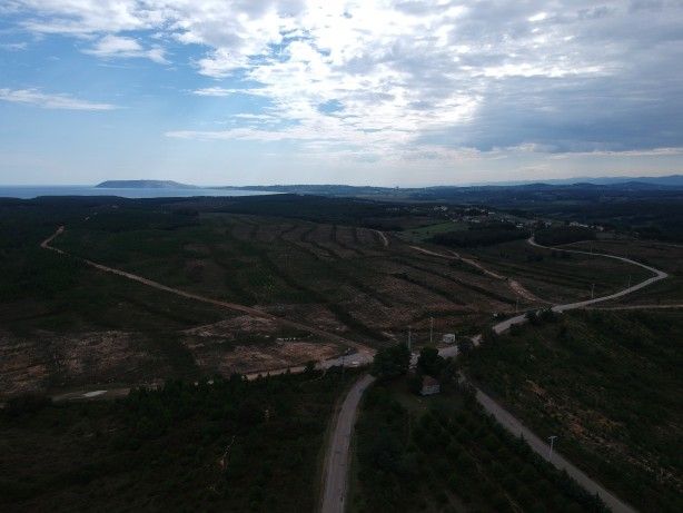 Petrol ve gazı tahtından edecek proje konusunda Türkiye adımı attı! Rusya ile... 6