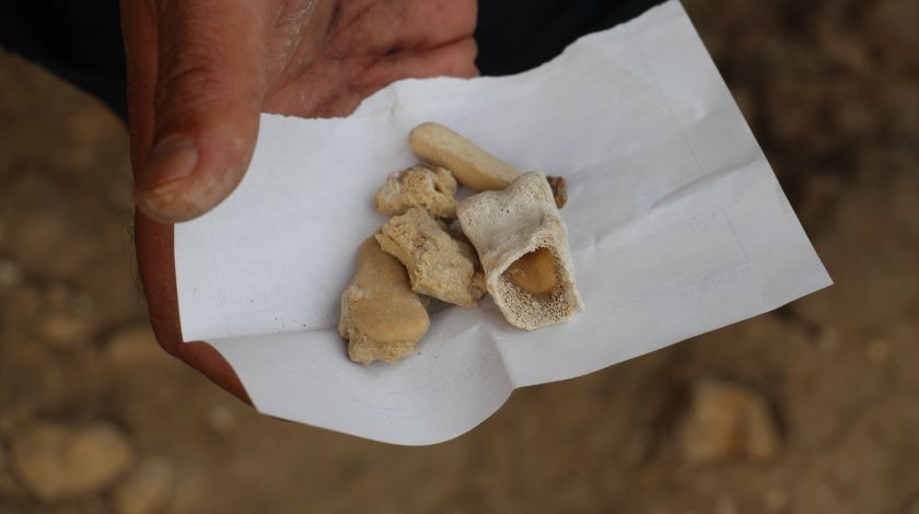 Sivas'ta tesadüfen bulundu! Milyonlarca yıllık... 2