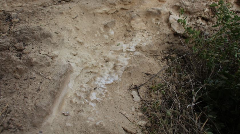 Sivas'ta tesadüfen bulundu! Milyonlarca yıllık... 4