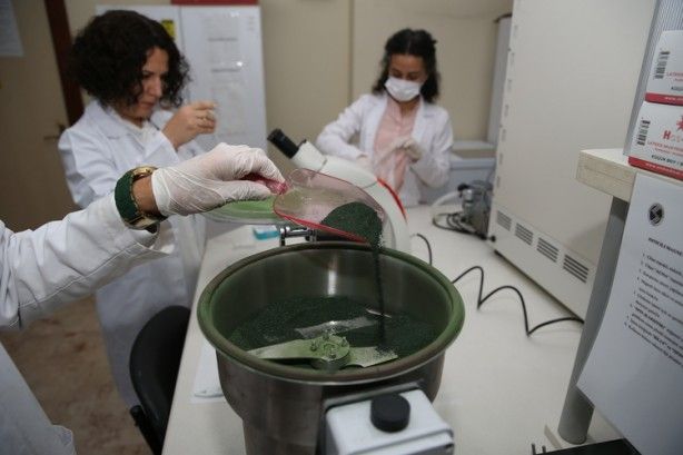 Geleceğin besini Türkiye'de üretiliyor! NASA her an kapımızı çalabilir 5