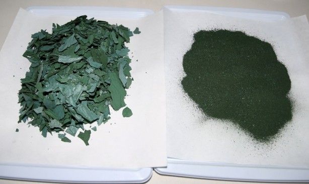 Geleceğin besini Türkiye'de üretiliyor! NASA her an kapımızı çalabilir 1