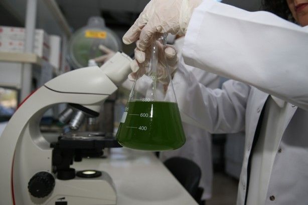 Geleceğin besini Türkiye'de üretiliyor! NASA her an kapımızı çalabilir 2