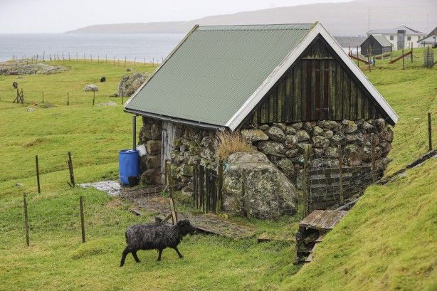 Duyunca çok şaşıracaksınız! Faroe Adaları ile ilgili çok ilginç bilgiler 10