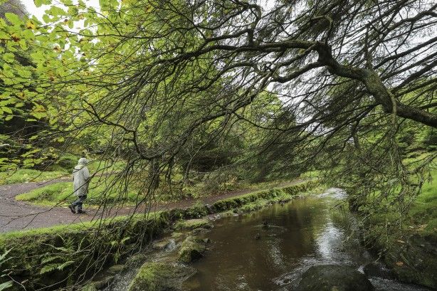 Duyunca çok şaşıracaksınız! Faroe Adaları ile ilgili çok ilginç bilgiler 2