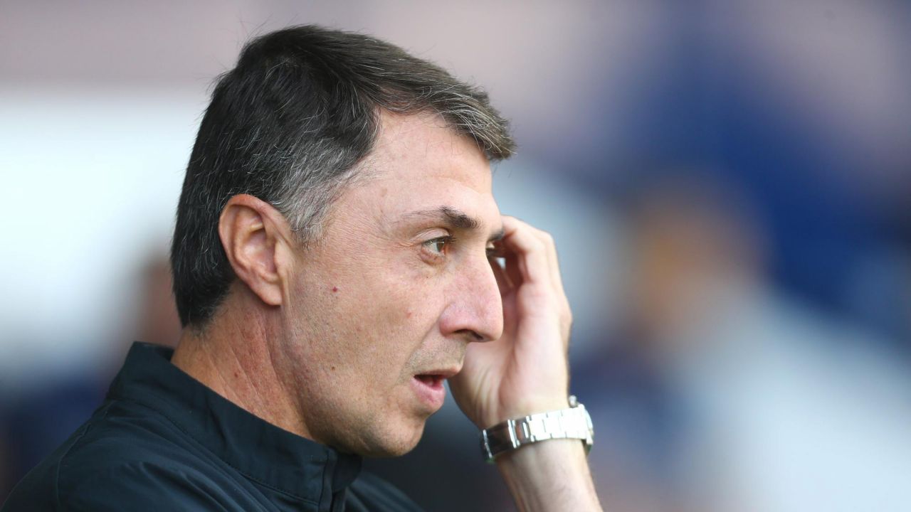 Şota'nın ayrılığının ardından Hull City'de Fatih Terim ve Şenol Güneş bombası 12