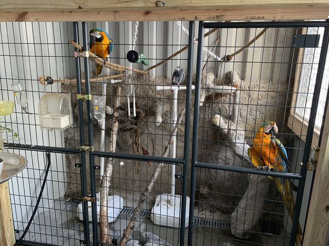 11 adet konteyneri birleştirerek ev yaptı! Siz bir de içini görün: Gözlerinize inanamayacaksınız... 13