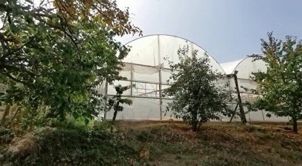 11 gün sonra cansız bedeni bulundu: Bıraktığı not şüpheleri artırdı 6