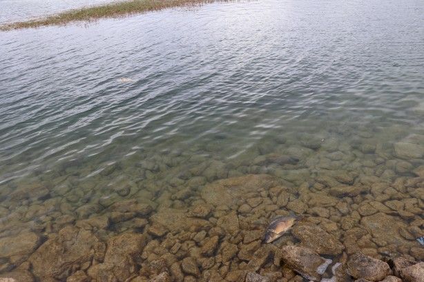 Bolu'dan tedirgin eden haber! Numuneler alındı 6