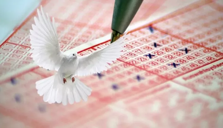 Ülkede kriz: 75 milyonluk büyük ikramiyede talih kuşu 433 kişinin yüzüne güldü! Soruşturma talebi... 1